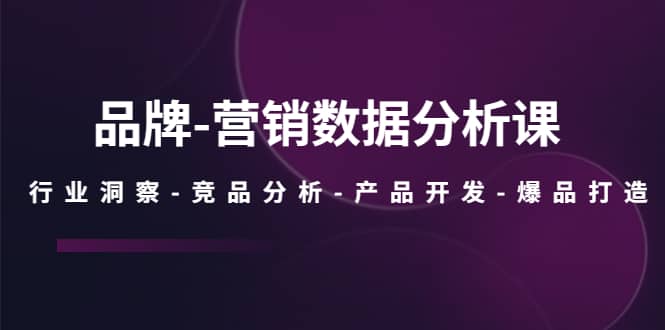 品牌-营销数据分析课，行业洞察-竞品分析-产品开发-爆品打造网创吧-网创项目资源站-副业项目-创业项目-搞钱项目网创吧