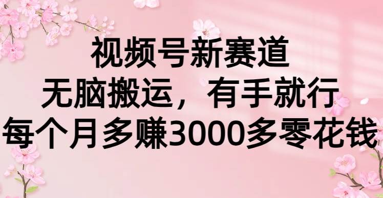 视频号新赛道，无脑搬运，有手就行，每个月多赚3000多零花钱网创吧-网创项目资源站-副业项目-创业项目-搞钱项目网创吧