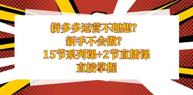 拼多多运营不理想？新手不会做？15节系列课+2节直播课，直接掌握网创吧-网创项目资源站-副业项目-创业项目-搞钱项目网创吧