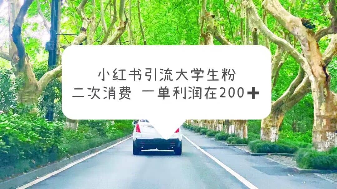 小红书引流大学生粉，变现项目，一单利润在200+（教程+资源）网创吧-网创项目资源站-副业项目-创业项目-搞钱项目网创吧