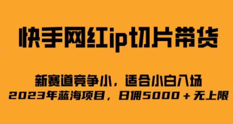 快手网红ip切片新赛道，竞争小事，适合小白 2023蓝海项目网创吧-网创项目资源站-副业项目-创业项目-搞钱项目网创吧