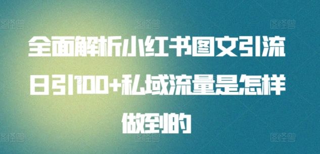 日引流100私域流量小红书图文是怎样做到的全面解析网创吧-网创项目资源站-副业项目-创业项目-搞钱项目网创吧