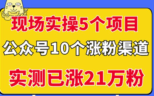 现场实操5个公众号项目，10个涨粉渠道，实测已涨21万粉！网创吧-网创项目资源站-副业项目-创业项目-搞钱项目网创吧