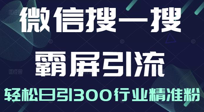 微信搜一搜霸屏引流课，打造被动精准引流系统，轻松日引300行业精准粉【无水印】网创吧-网创项目资源站-副业项目-创业项目-搞钱项目网创吧