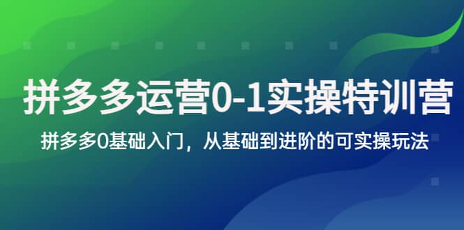 拼多多-运营0-1实操训练营，拼多多0基础入门，从基础到进阶的可实操玩法网创吧-网创项目资源站-副业项目-创业项目-搞钱项目网创吧