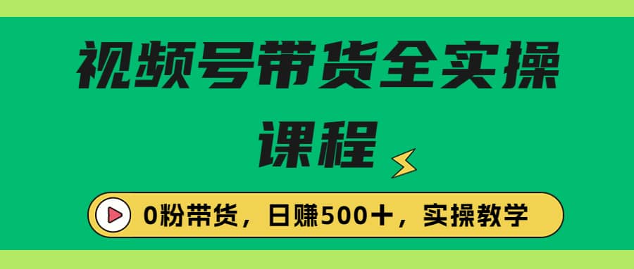 收费1980的视频号带货保姆级全实操教程，0粉带货网创吧-网创项目资源站-副业项目-创业项目-搞钱项目网创吧