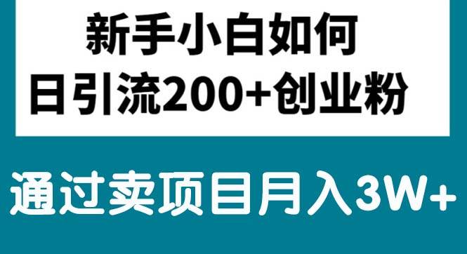 新手小白日引流200+创业粉,通过卖项目月入3W+网创吧-网创项目资源站-副业项目-创业项目-搞钱项目网创吧