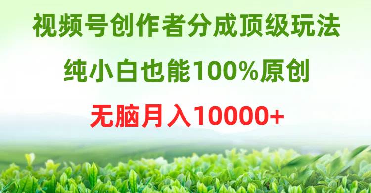 视频号创作者分成顶级玩法，纯小白也能100%原创，无脑月入10000+网创吧-网创项目资源站-副业项目-创业项目-搞钱项目网创吧