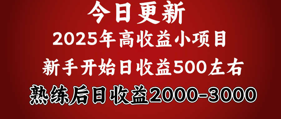 2025开年好项目，新手日收益500+ 熟练掌握后，日收益平均2000多网创吧-网创项目资源站-副业项目-创业项目-搞钱项目网创吧